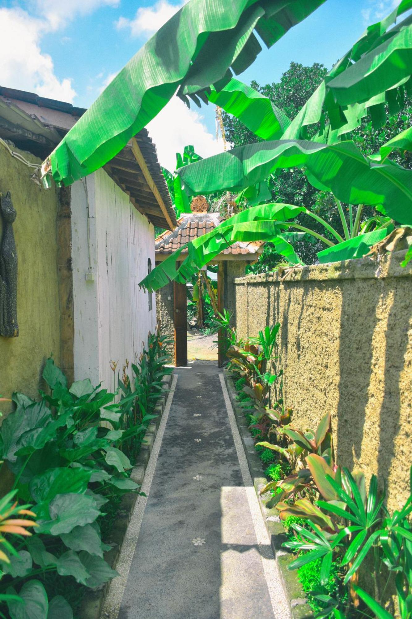 Ume Sita Villa And Homestay Ubud Zewnętrze zdjęcie